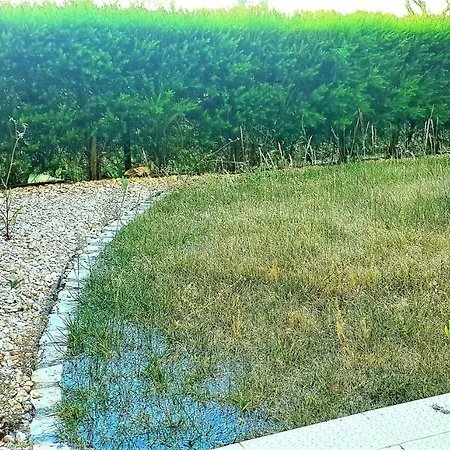 公寓 Litoral Mar 7 *